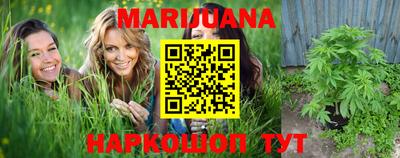 прущие крисы Гай