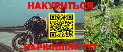 амф Гатчина