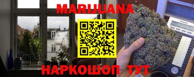 прущие крисы Гай