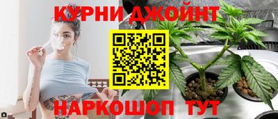 прущие крисы Гай