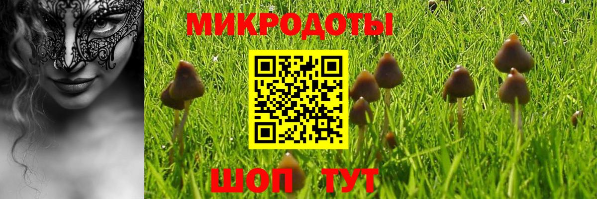 Павловский Посад  Галлюциногенные грибы GOLDEN TEACHER  Вход с VPN 